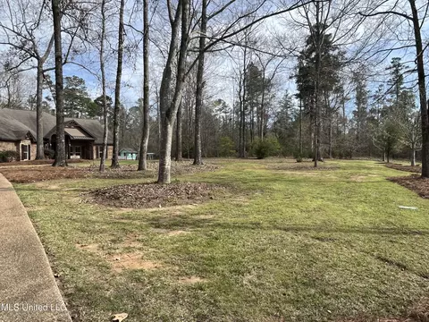 Exterior - 140 Old Mill Trl, Florence, MS 39073 photo 42 of 70