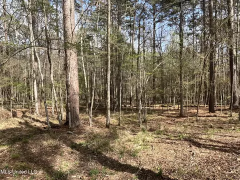 Exterior - 140 Old Mill Trl, Florence, MS 39073 photo 36 of 70