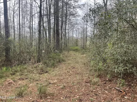 Other - 11013 Highway 613, Moss Point, MS 39562 photo 3 of 4