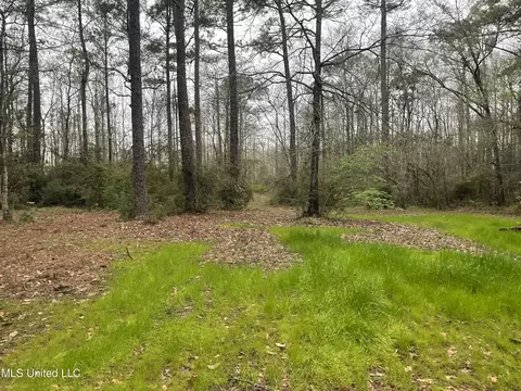 Exterior - 11013 Highway 613, Moss Point, MS 39562 photo 4 of 5