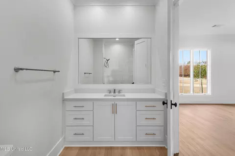 Bath - 54 Windermere Blvd, Madison, MS 39110 photo 4 of 17