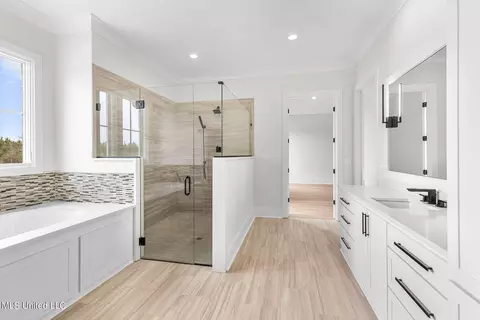 Bath - 54 Windermere Blvd, Madison, MS 39110 photo 10 of 17