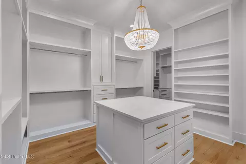 Other - 54 Windermere Blvd, Madison, MS 39110 photo 33 of 56