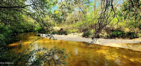 lot7 Clearwater Dr, Kiln, MS 39556