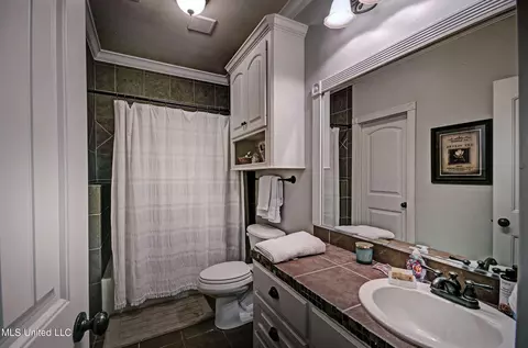 205 Willow Crest Cv, Brandon, MS 39047 photo 28