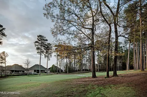 205 Willow Crest Cv, Brandon, MS 39047 photo 10