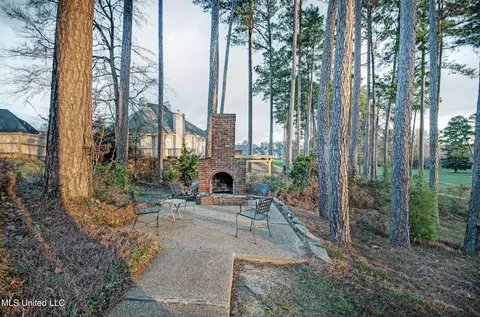 205 Willow Crest Cv, Brandon, MS 39047 photo 7