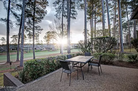 205 Willow Crest Cv, Brandon, MS 39047 photo 6