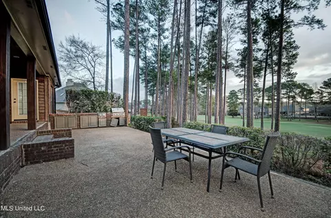 205 Willow Crest Cv, Brandon, MS 39047 photo 14