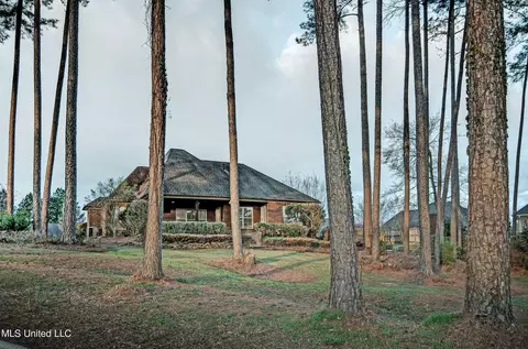 205 Willow Crest Cv, Brandon, MS 39047 photo 11