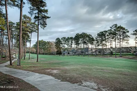 205 Willow Crest Cv, Brandon, MS 39047 photo 9