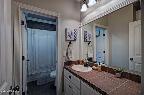 205 Willow Crest Cv, Brandon, MS 39047 photo 39