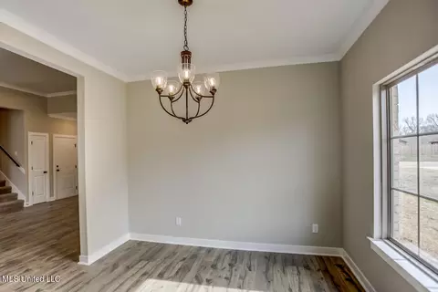 7741 Melisa Drive Dr, Walls, MS 38680 photo 11