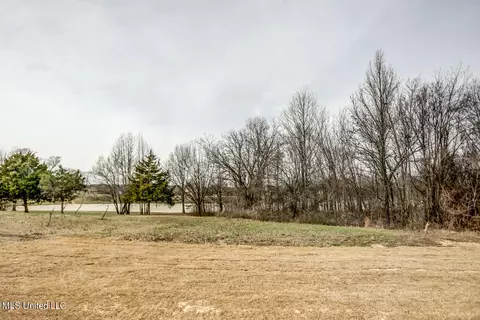 7741 Melisa Drive Dr, Walls, MS 38680 photo 24