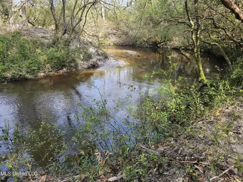 0 Dawson Rd, Wiggins, MS 39577 photo 2