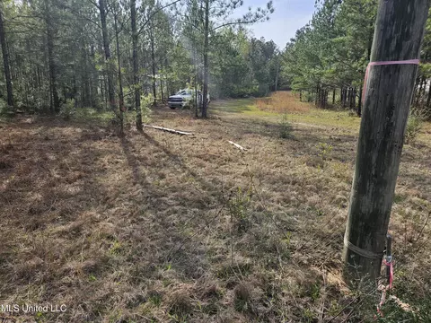 0 Dawson Rd, Wiggins, MS 39577 photo 5