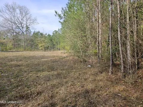 0 Dawson Rd, Wiggins, MS 39577 photo 10