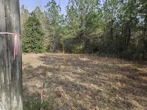 0 Dawson Rd, Wiggins, MS 39577 photo 4
