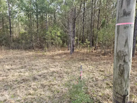 0 Dawson Rd, Wiggins, MS 39577 photo 3