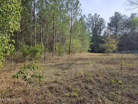 0 Dawson Rd, Wiggins, MS 39577 photo 9