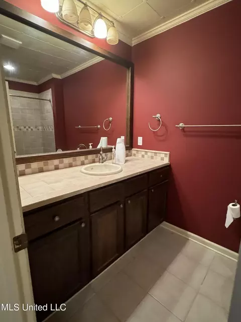 Bath - 101 Dublin Dr, Clinton, MS 39056 photo 3 of 5