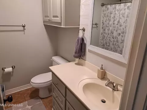 Bath - 402 Pinebrook Cir, Brandon, MS 39047 photo 3 of 3