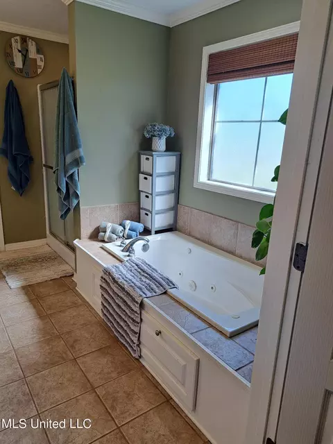 Bath - 402 Pinebrook Cir, Brandon, MS 39047 photo 1 of 3