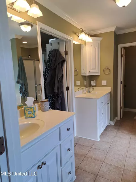 Bath - 402 Pinebrook Cir, Brandon, MS 39047 photo 2 of 3