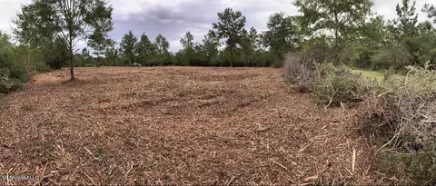 Clear Lake Road, Mchenry, MS 39561