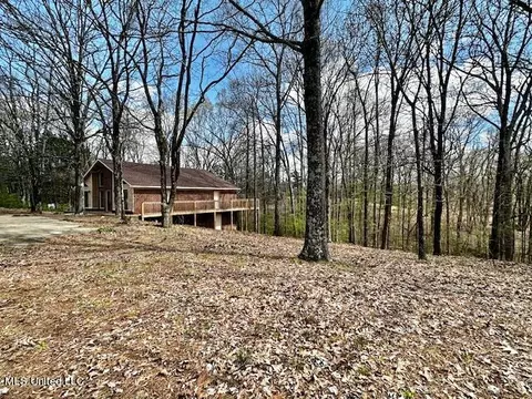 Exterior - 8750 Thunderbird Dr E, Hernando, MS 38632 photo 4 of 9