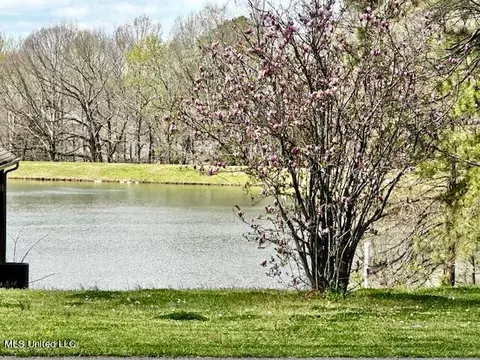 View/Area - 8750 Thunderbird Dr E, Hernando, MS 38632 photo 1 of 3