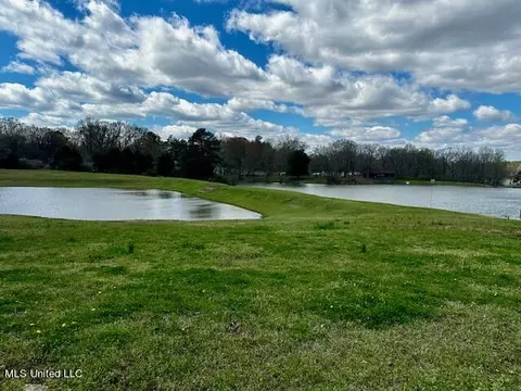 View/Area - 8750 Thunderbird Dr E, Hernando, MS 38632 photo 3 of 3