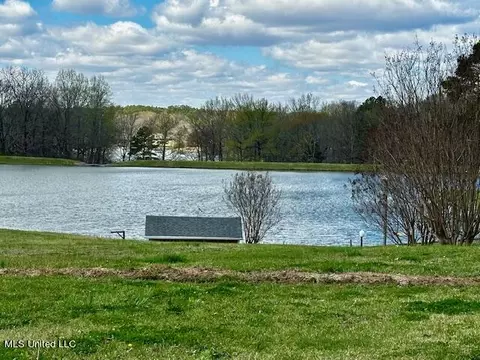 View/Area - 8750 Thunderbird Dr E, Hernando, MS 38632 photo 2 of 3