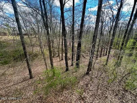 Other - 8750 Thunderbird Dr E, Hernando, MS 38632 photo 14 of 15