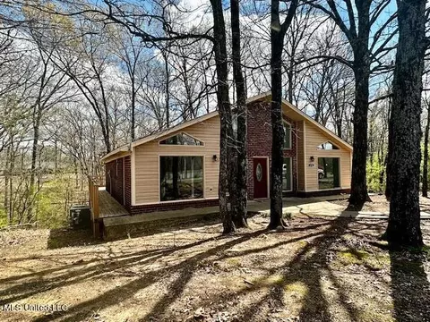 Exterior - 8750 Thunderbird Dr E, Hernando, MS 38632 photo 3 of 9