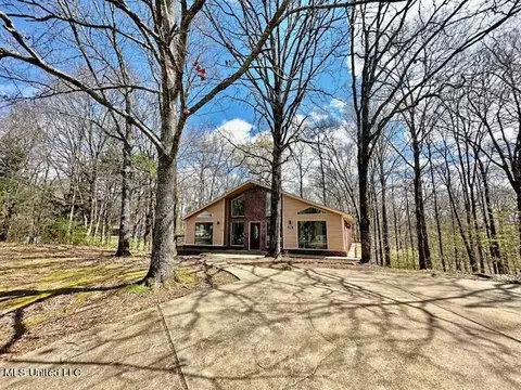 Exterior - 8750 Thunderbird Dr E, Hernando, MS 38632 photo 2 of 9