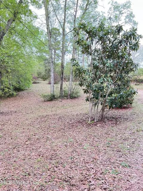 23329 Ramsey Ln, Saucier, MS 39574 photo 5