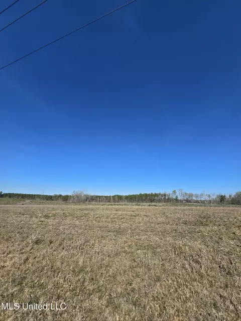 000 Coal Bluff Road Rd, Lena, MS 39094