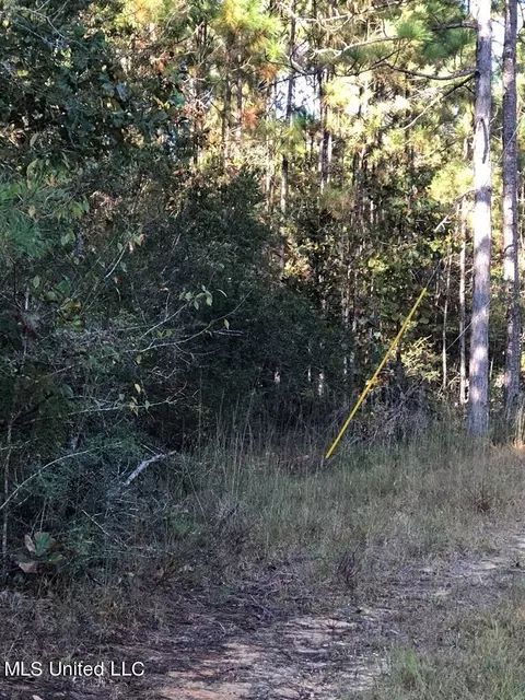 Chuck Penton Road, Carriere, MS 39426