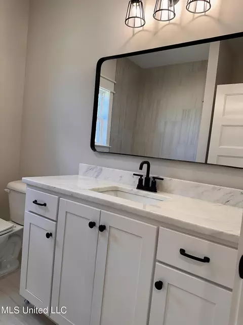 Bath - 4169 Brooke Dr, Nesbit, MS 38651 photo 3 of 4