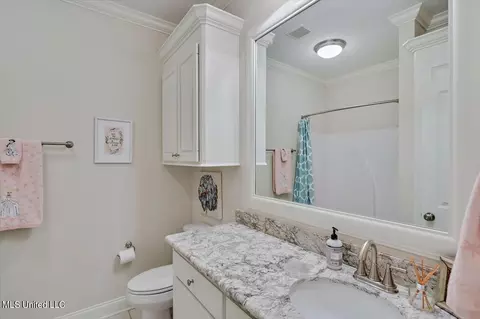 261 Falls Xing, Madison, MS 39110 photo 23