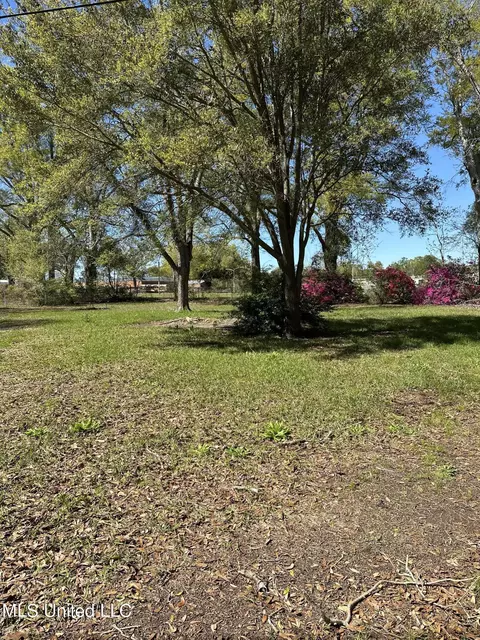 Exterior - 468 Church St, Lucedale, MS 39452 photo 4 of 6