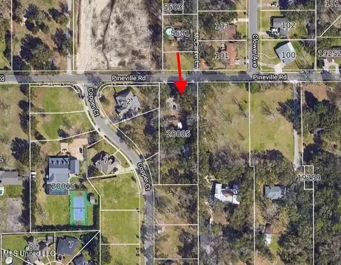Other - 20005 Pineville Rd, Long Beach, MS 39560 photo 24 of 25