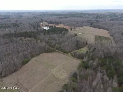 4627 Race Track Rd, West, MS 39192 photo 63