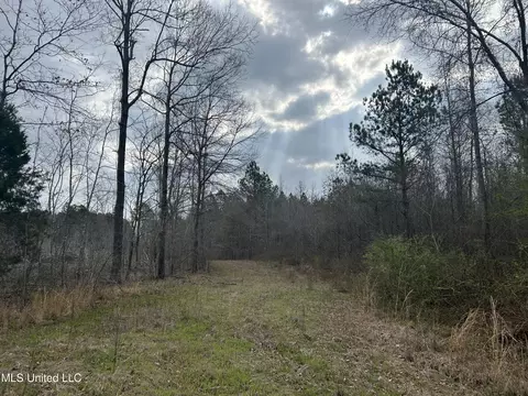 4627 Race Track Rd, West, MS 39192 photo 30