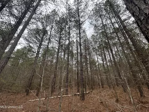 4627 Race Track Rd, West, MS 39192 photo 17