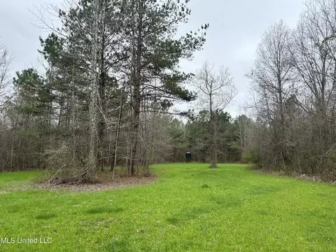 4627 Race Track Rd, West, MS 39192 photo 38