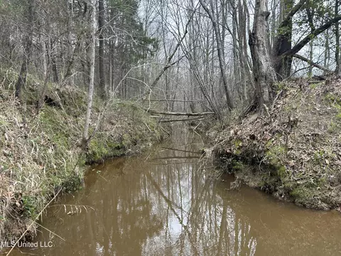 4627 Race Track Rd, West, MS 39192 photo 12