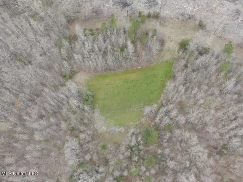 4627 Race Track Rd, West, MS 39192 photo 58