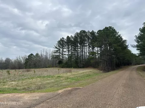 4627 Race Track Rd, West, MS 39192 photo 5